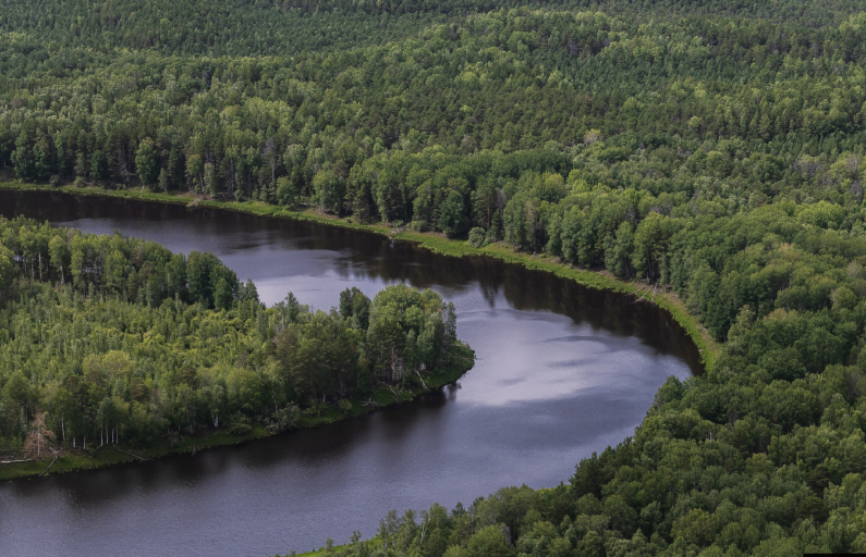 Фото предоставлено ДИП