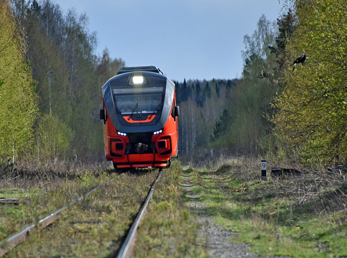 ФОТО: Борис Ярков / Областная газета