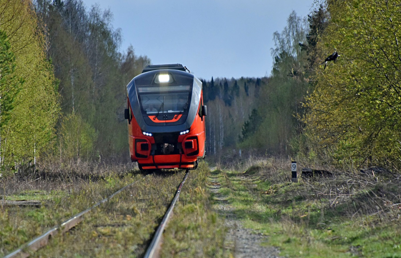 ФОТО: Борис Ярков / Областная газета
