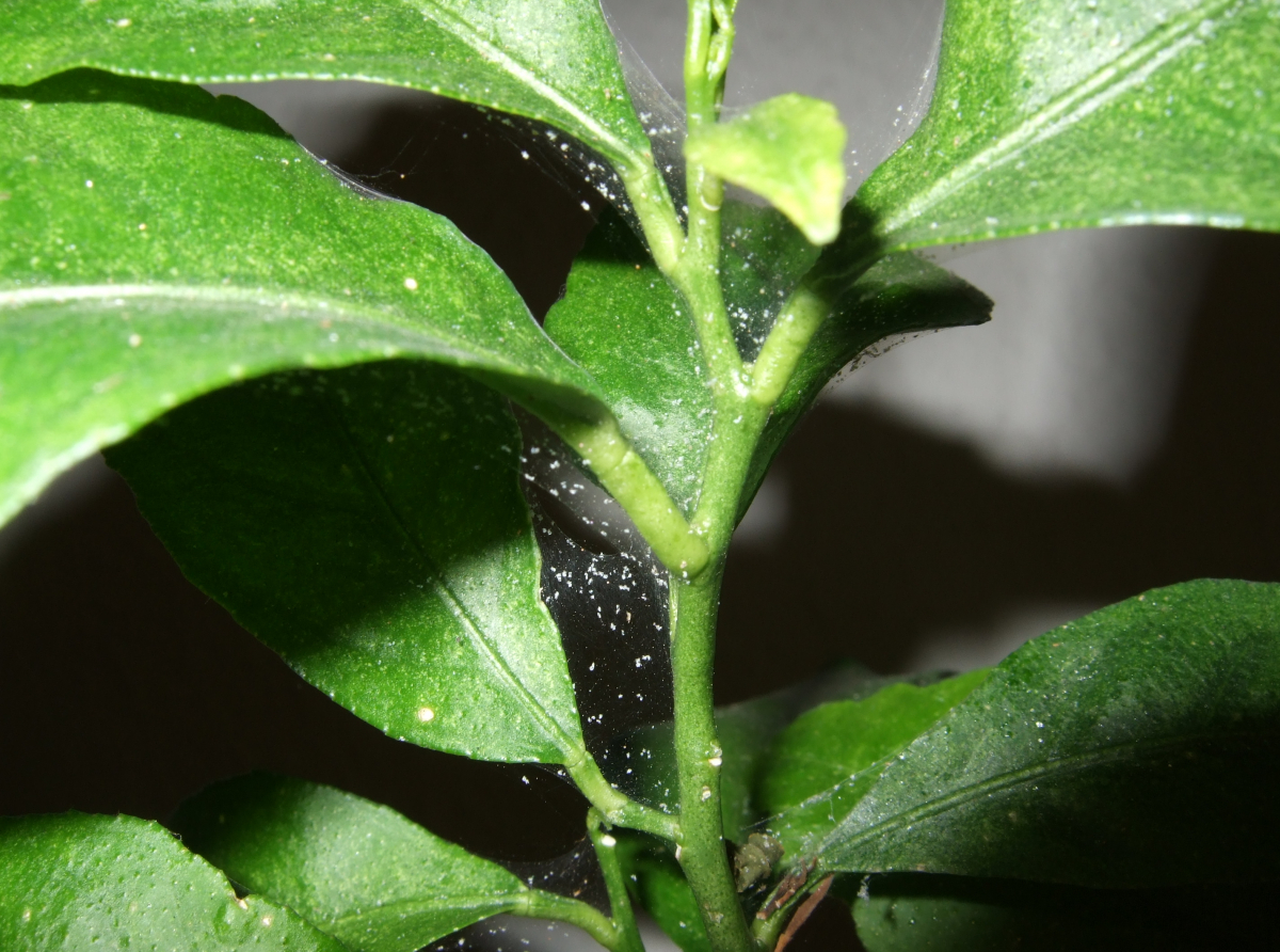 Фото предоставлено автором