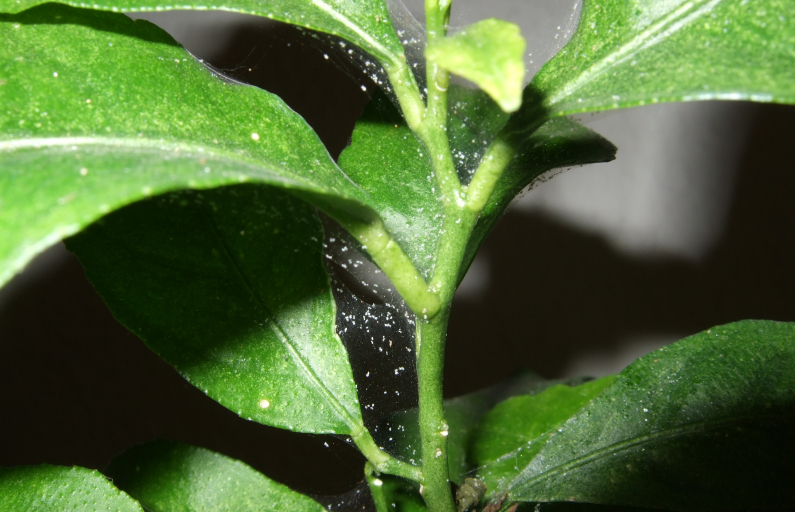 Фото предоставлено автором