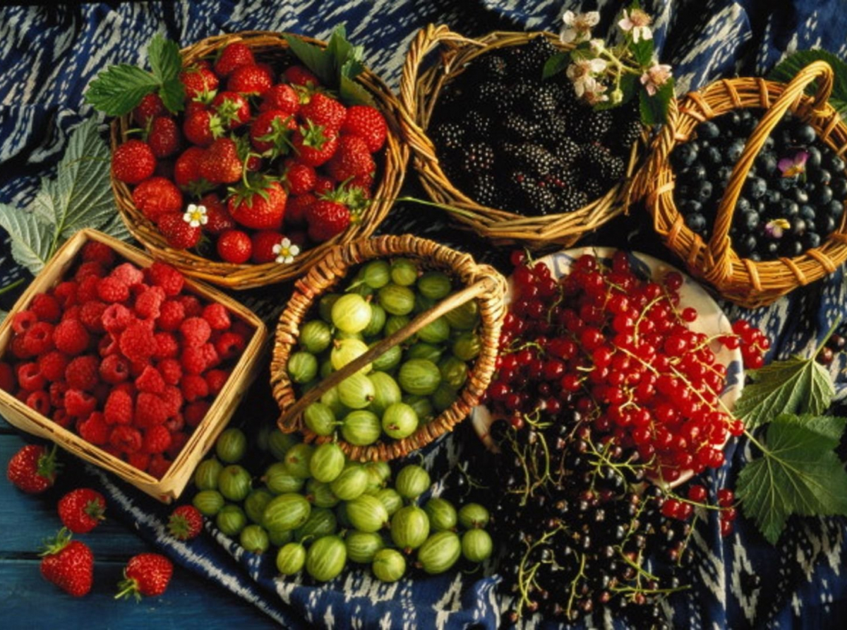 Фото предоставлено автором