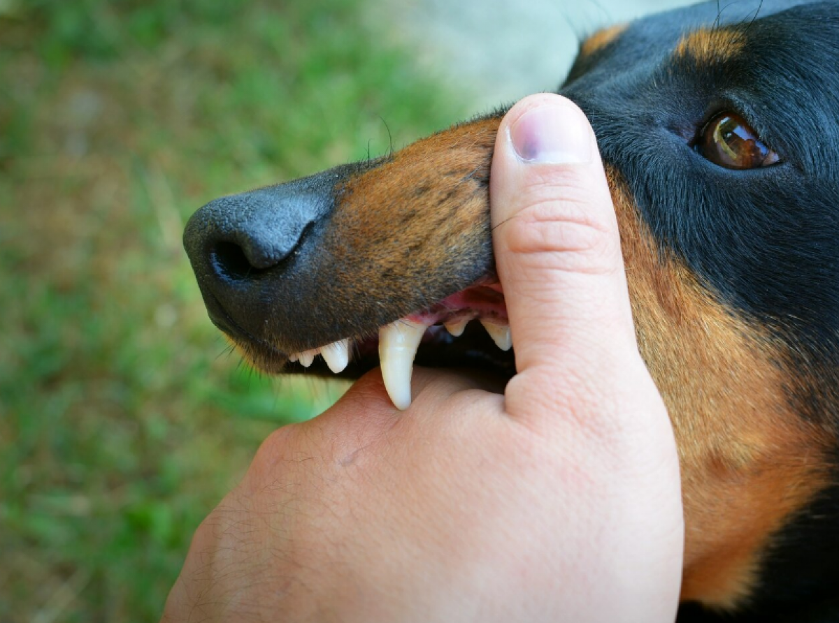 Фото: https://ru.freepik.com/free-photo/