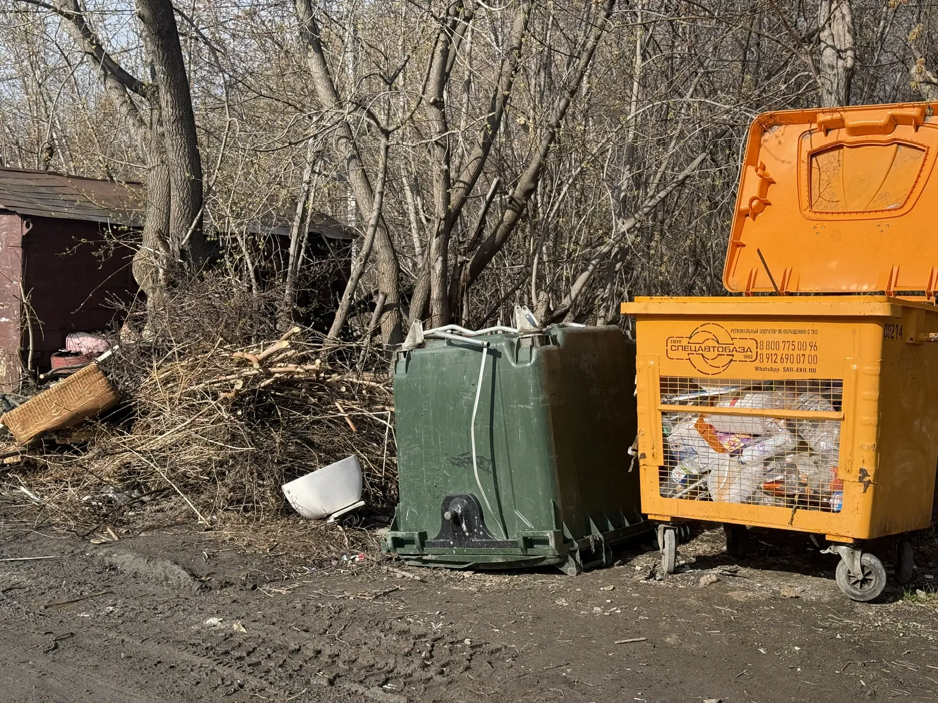 Субботник с риском для кошелька: за ветки и листву у мусорного бака - штраф!