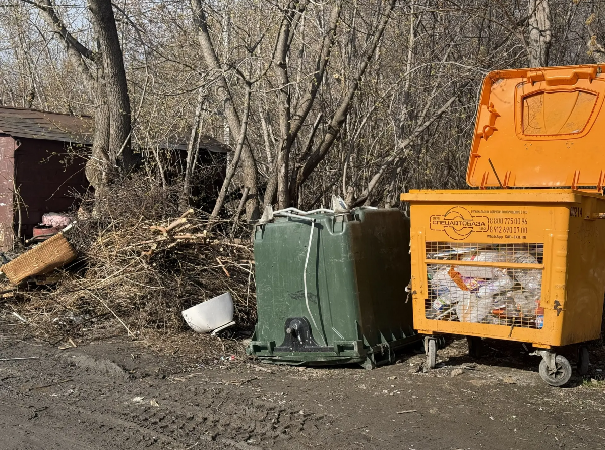 Фото: Анна Мантурова