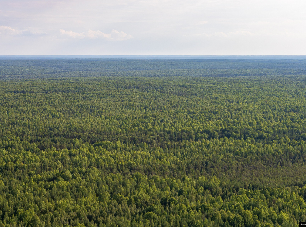 Фото предоставлено ДИП