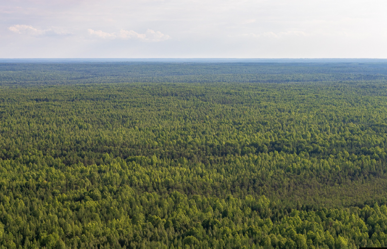 Фото предоставлено ДИП