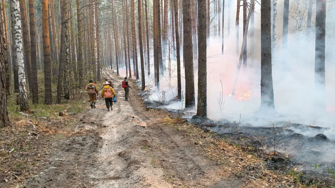 Особый противопожарный режим - не приговор, а шанс избежать беды