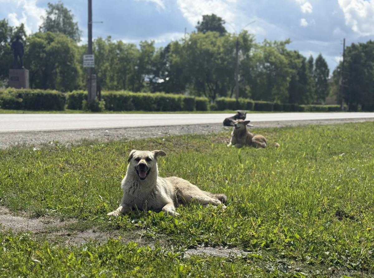 Фото: Анна Мантурова