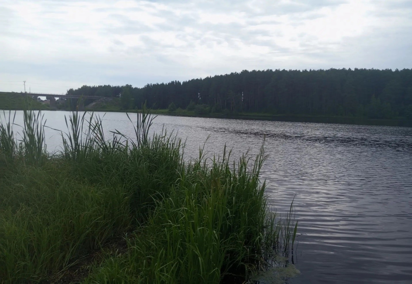 Купаться разрешается: вода на артемовских пляжах безопасна для здоровья
