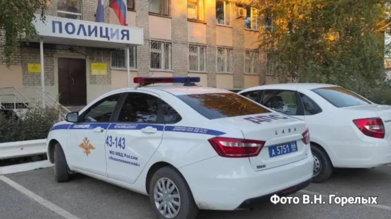 Почему дети помогают мошенникам грабить своих родителей?