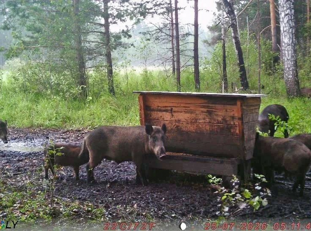 Фото предоставлено Александром Воронцовым