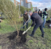 «Аллею народного единства» заложили в Преображенском парке Екатеринбурга