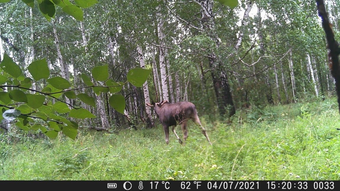 4d4e2bd6-583c-41bf-b4b1-0a870926f11c