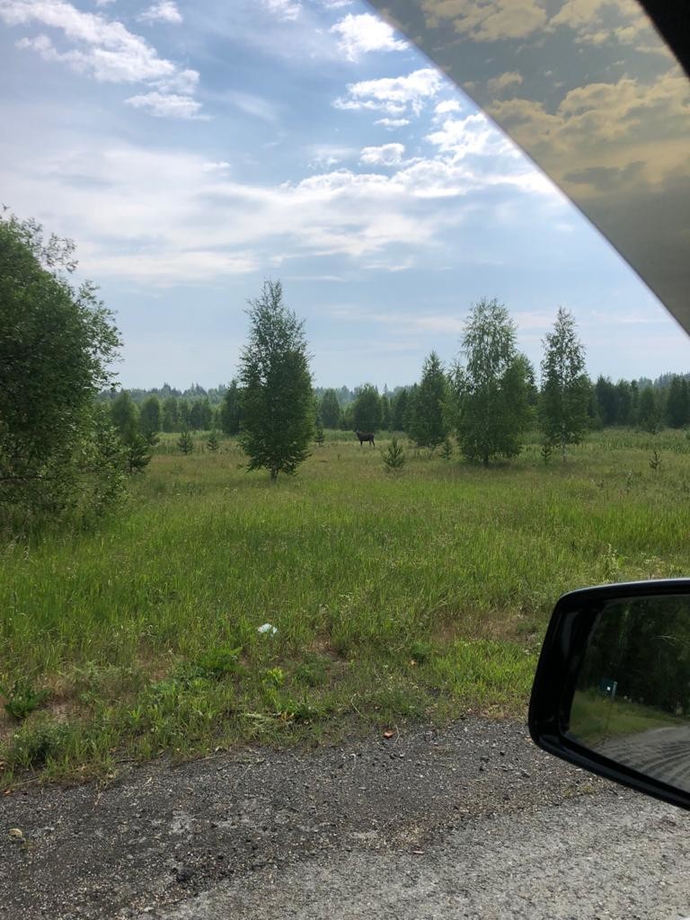 7f0c184e-972e-4c49-b986-9340e001c9dc