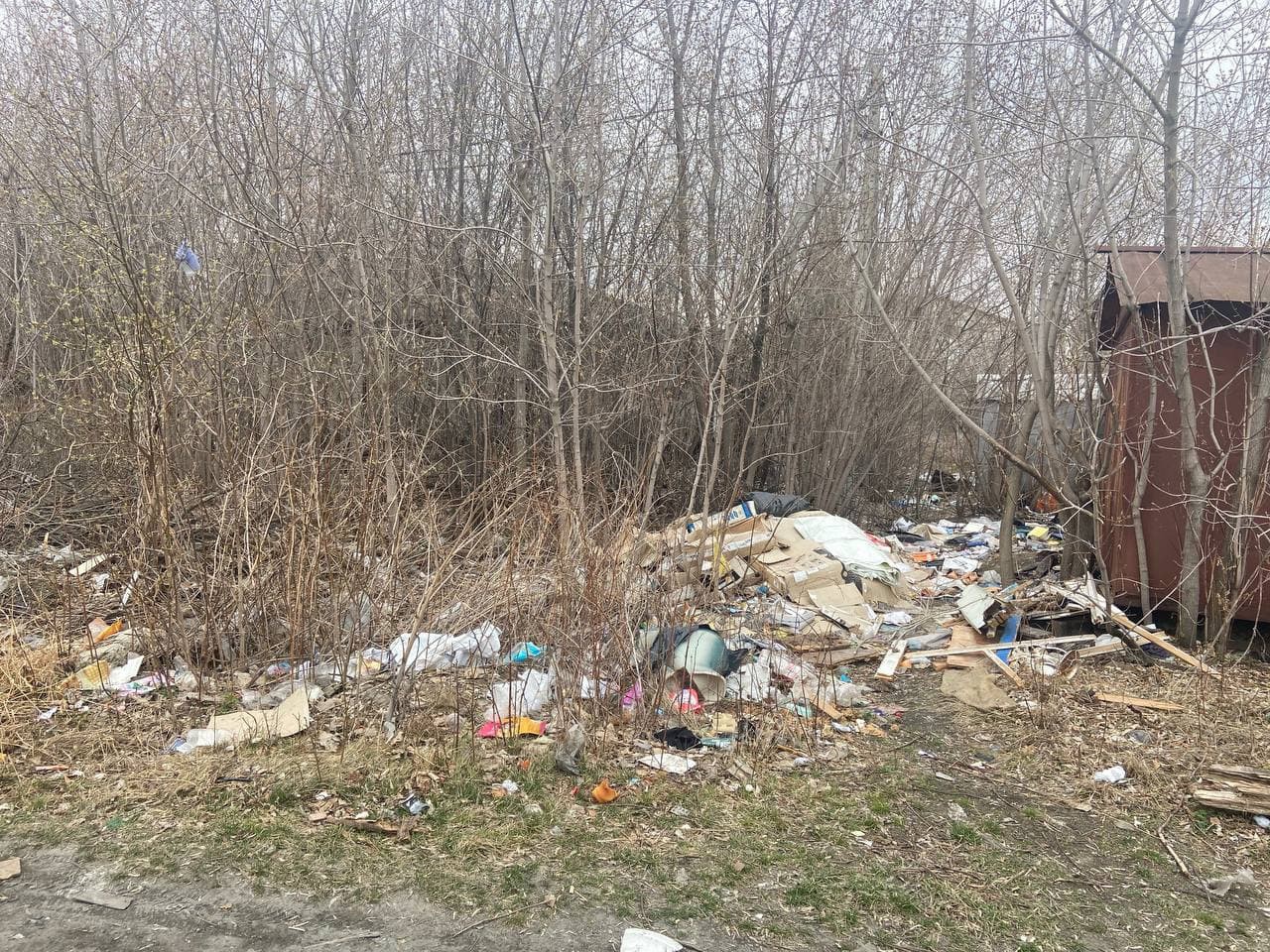 За мусор будут штрафовать