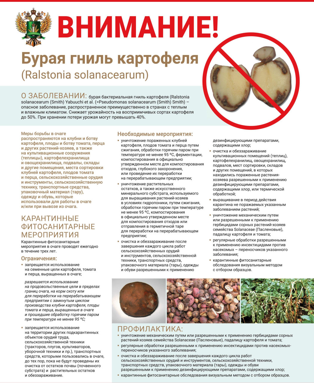 buraya-gnil_594kh841-mm_out-1_1-1-scaled