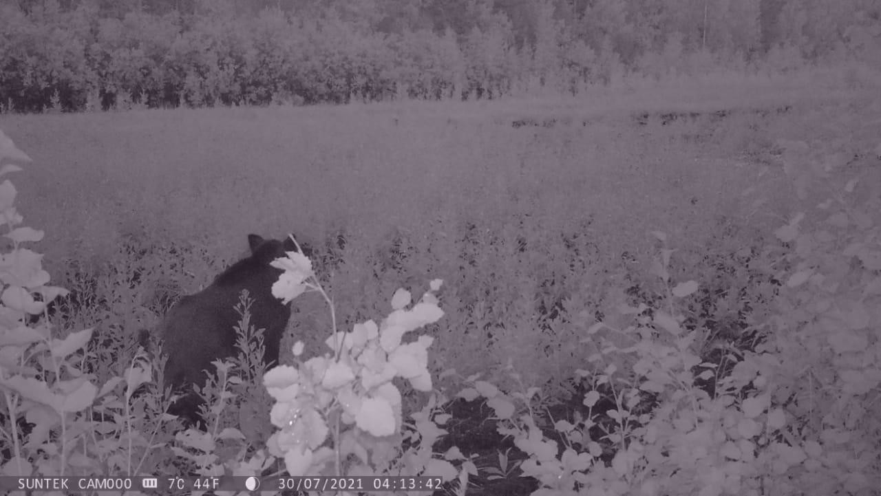 de493f6d-6121-445f-be10-1ec18110a0f4