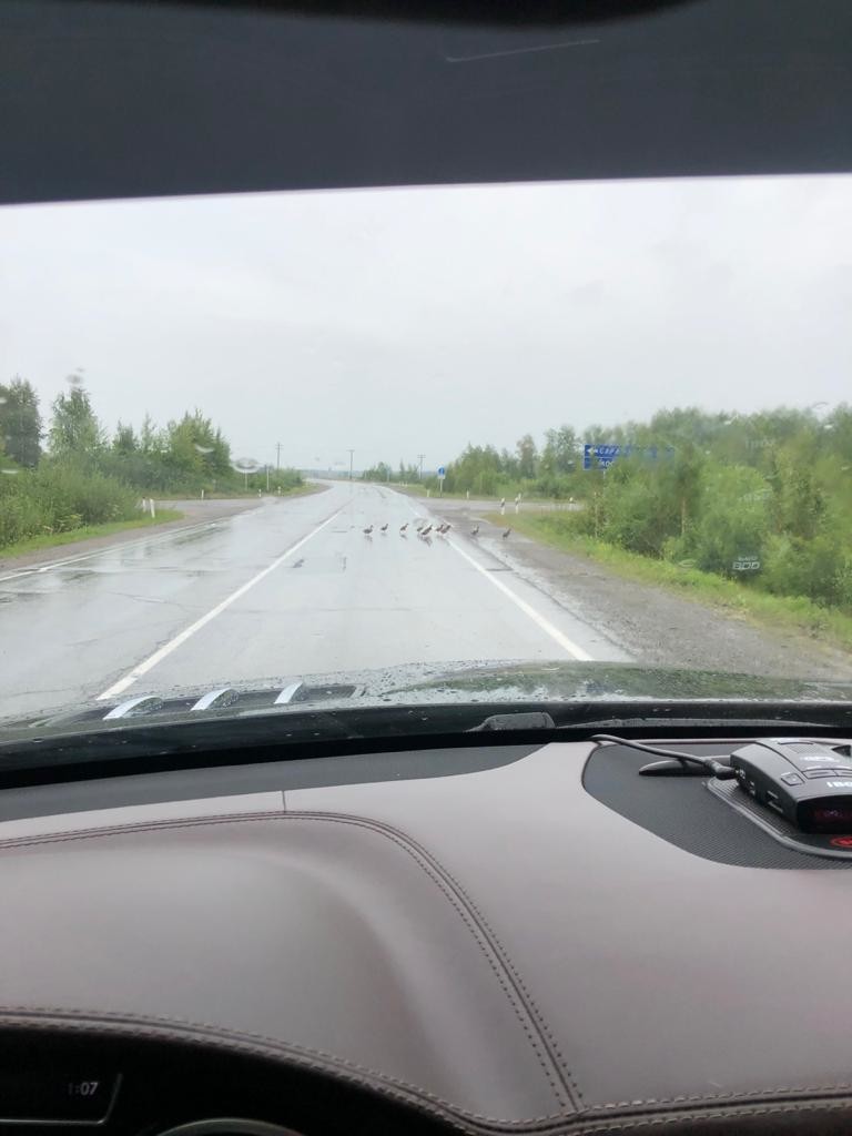 f217b5bc-c697-40c4-a37c-e4fd9126f0c3