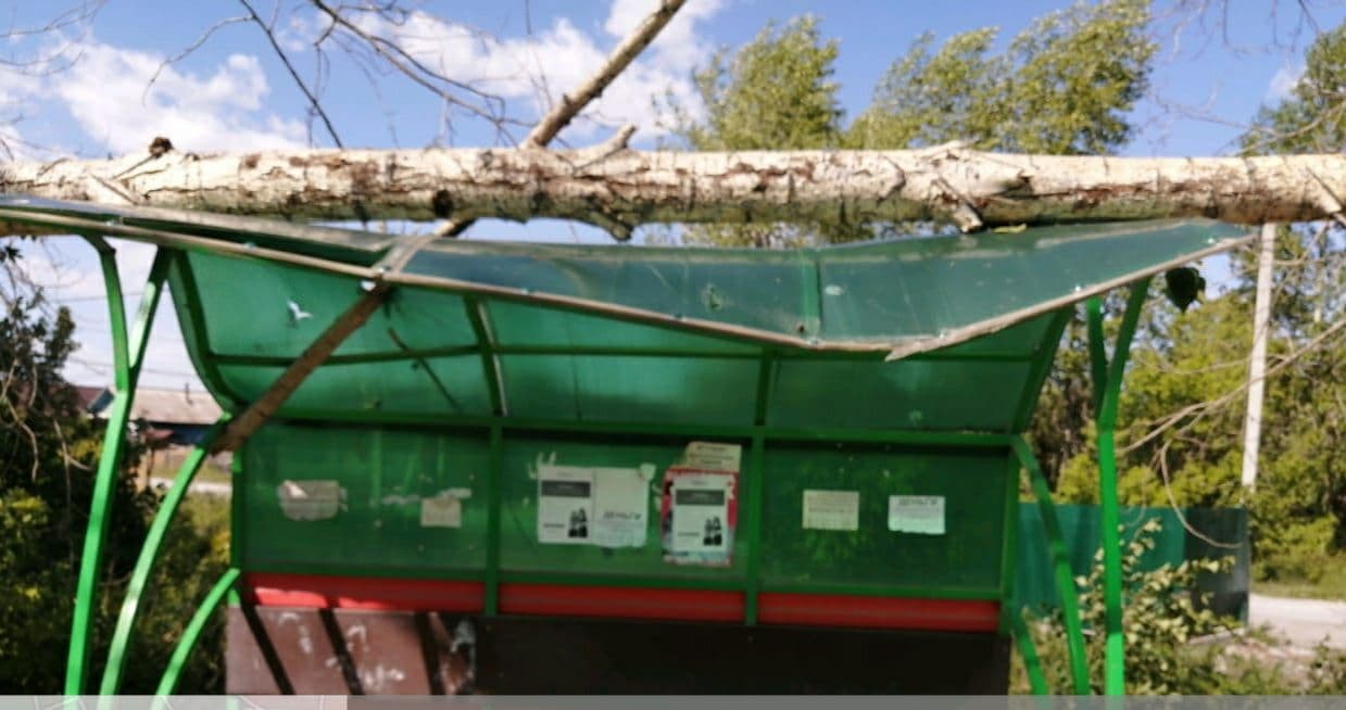 photo_2021-06-21_14-22-10-2