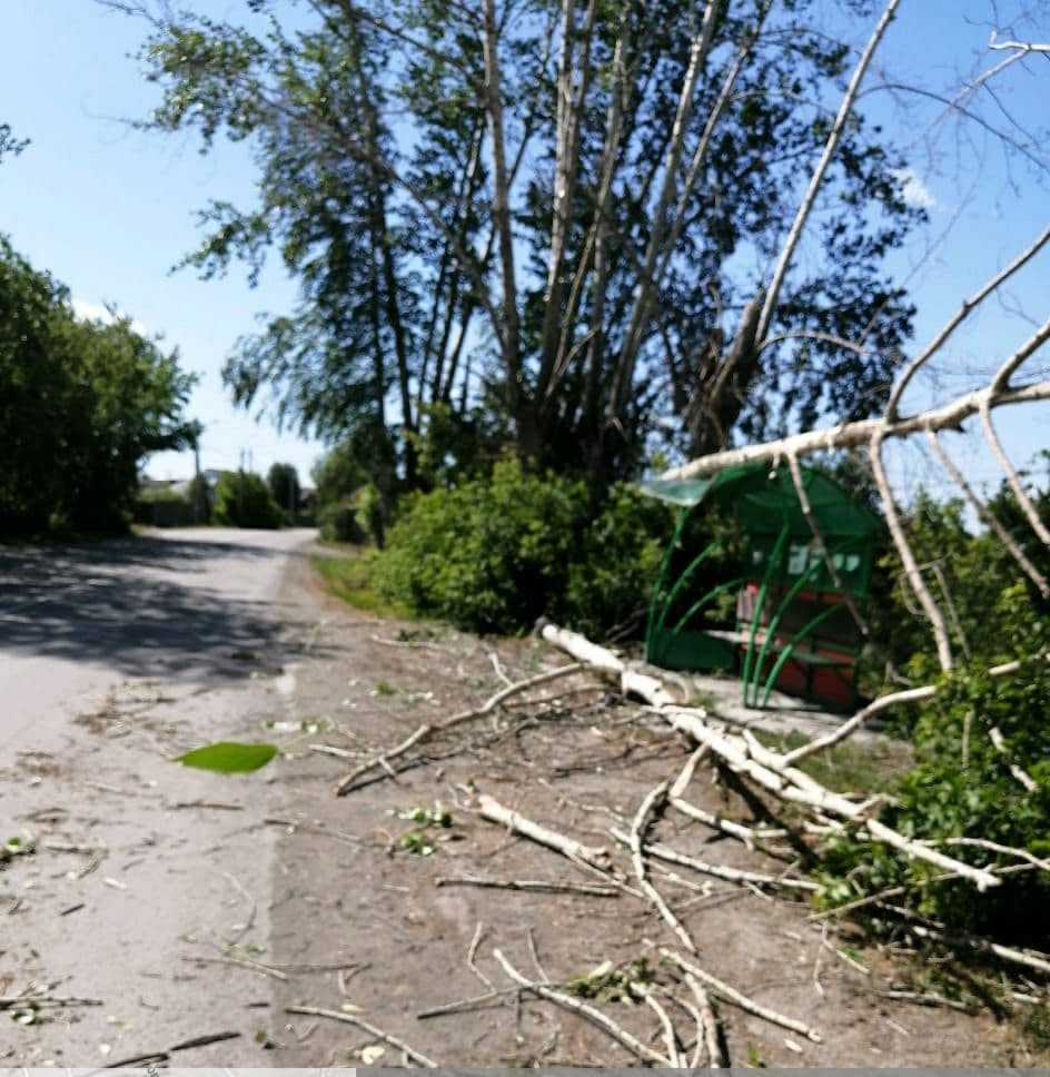 photo_2021-06-21_14-22-10