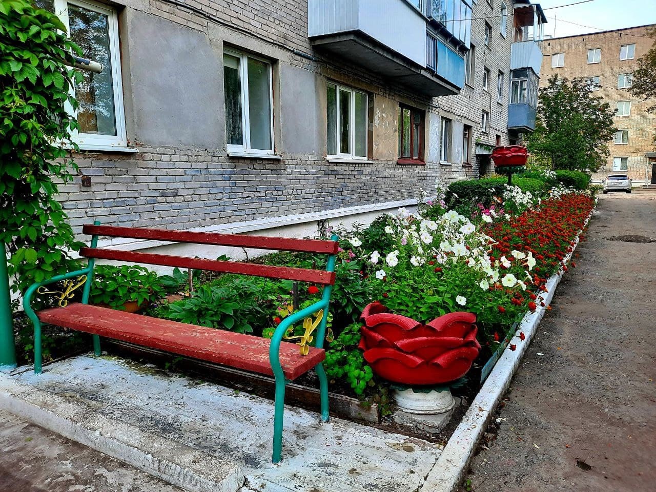 photo_2021-08-04_08-25-50