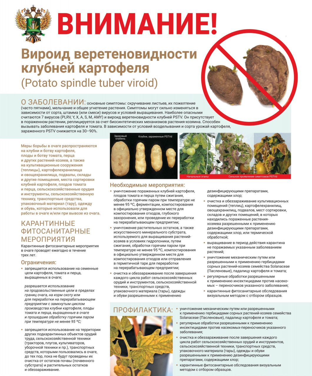 viroid_594kh841-mm_out-1_1-1-scaled