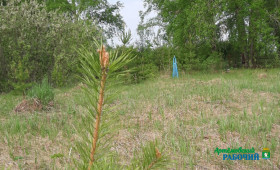 Фото: Галина Коротина