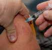 Фото с сайта https://pixabay. Стартует подростковая вакцинация от коронавируса