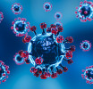 Фото с сайта https://ru.freepik.com. Помните, лучшая защита от ковида - прививка