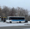 Профилактическое мероприятие "Автобус": 9 правонарушений выявлено Фото: Анна Мантурова