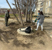 Субботники объединяют людей и преображают город! Фото: Лидия Кристапчук